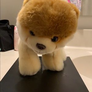 BOO the World’s Cutest 🐶